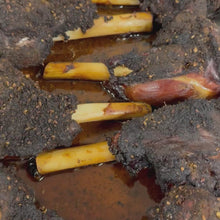Load and play video in Gallery viewer, Halal Smoked Lamb Shanks (2 ct)
